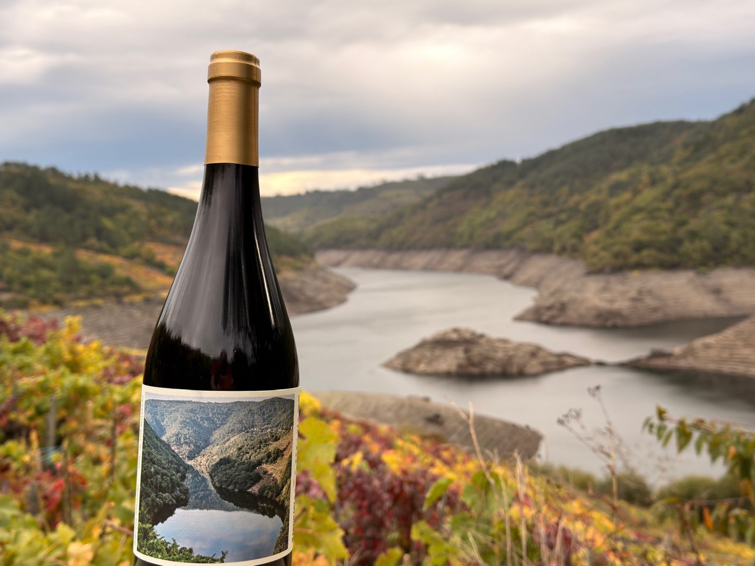 Viñedos de Xialma en la Ribeira Sacra del Miño